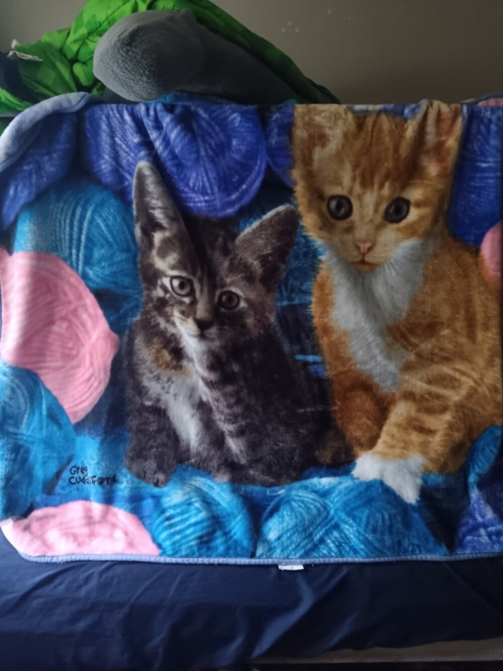 Northwest Co Greg Cuddiford Two Kittens With Wool Soft Fleece Blanket 50"x60"